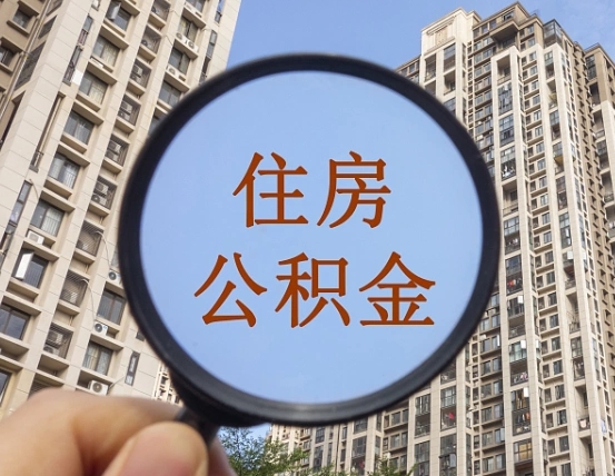 顺德退休后查不到公积金明细了吗（退休后公积金查询不到原因）